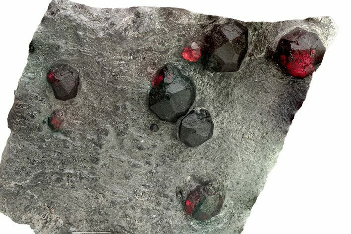 Plate of Eight Red Embers Garnets in Graphite - Massachusetts #225944